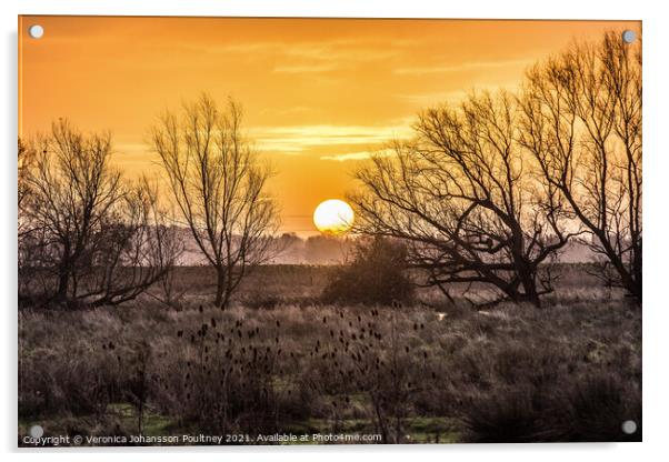 A sunrise over the Fens Acrylic by Veronica in the Fens