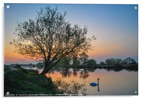 Ely Sunrise over river Great Ouse with swan Acrylic by Veronica in the Fens