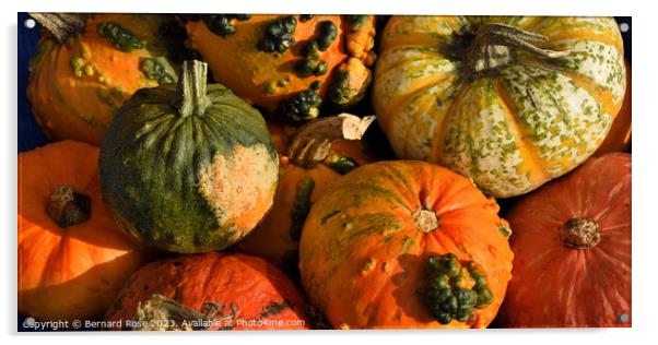 Pumpkin Display Acrylic by Bernard Rose Photography