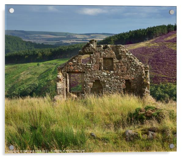 Stone Cottage Ruin on Cairn O'Mount Road  Acrylic by Bernard Rose Photography