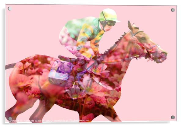 Horse Flowers Bloom Acrylic by Hannah Watson