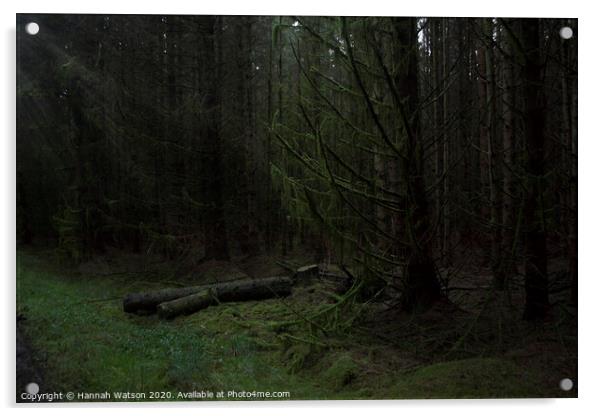 Misty Harwood Forest Acrylic by Hannah Watson