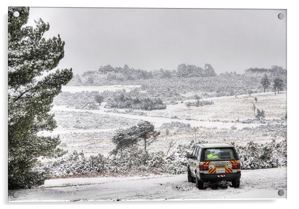 Range Rover P38 in the Snow Acrylic by Eddie Howland