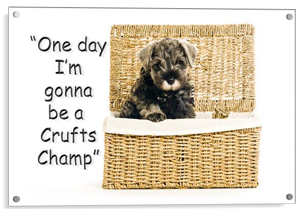 Riley  becomes a champion at crufts 2012 Acrylic by Eddie Howland
