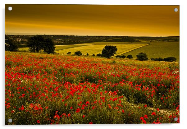 Sunset over poppies in Sussex Acrylic by Eddie Howland