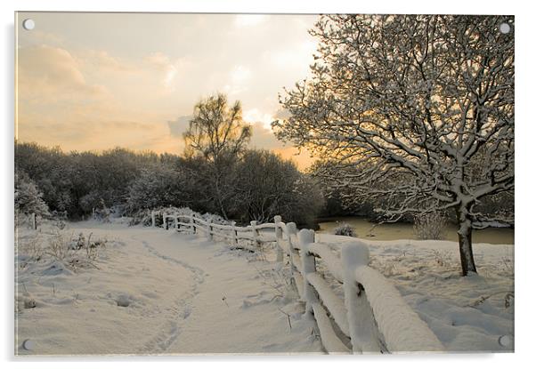 Ditchling common in snow at sunrise Acrylic by Eddie Howland
