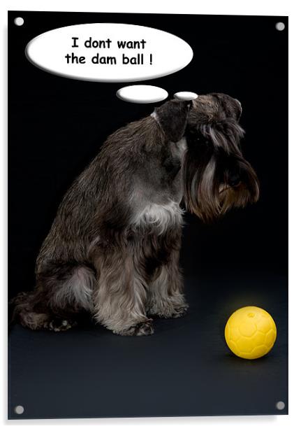 fed up dog Acrylic by Eddie Howland