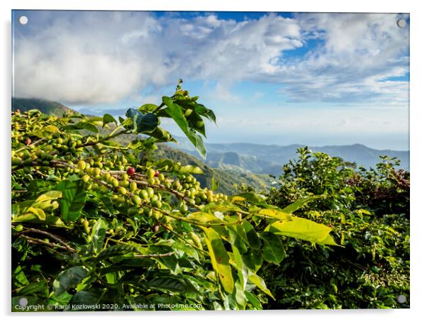 Blue Mountain Coffee Plantation, Jamaica Acrylic by Karol Kozlowski