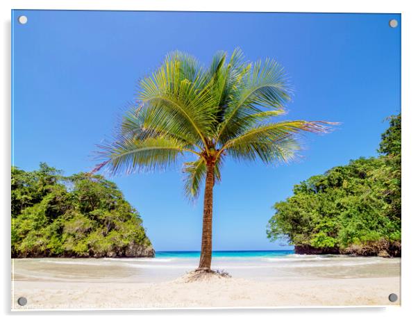 Frenchman's Cove Beach in Jamaica Acrylic by Karol Kozlowski