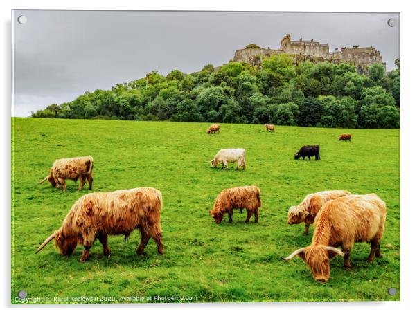 Stirling Castle Acrylic by Karol Kozlowski