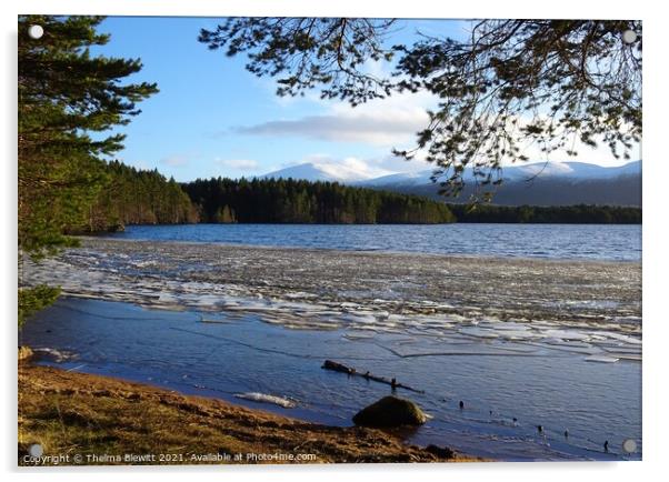 Loch Garten Sun and Ice Acrylic by Thelma Blewitt