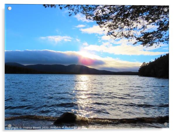 Loch Garten sun and cloud Acrylic by Thelma Blewitt