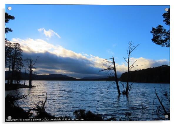 Loch Mallachie View Acrylic by Thelma Blewitt