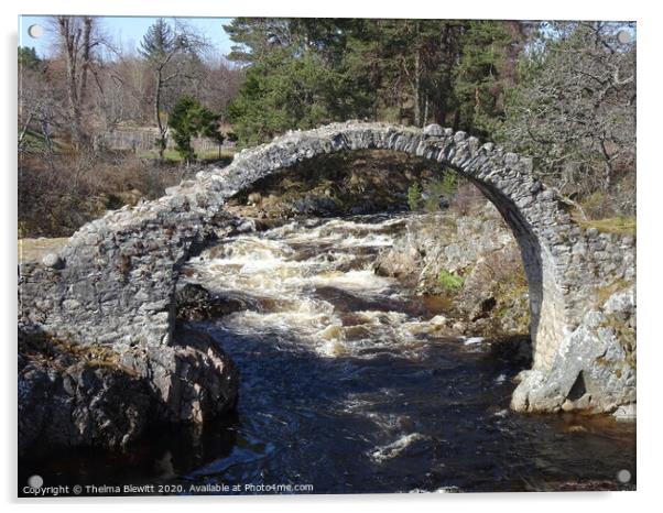 The Packhorse Bridge at Carrbridge Acrylic by Thelma Blewitt