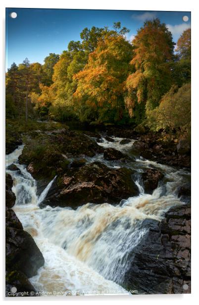 Falls of Feugh at Banchory in autumn Acrylic by Andrew Davies