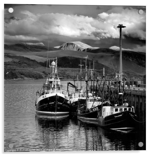 Ullapool Harbour and Loch Broom Acrylic by Andrew Davies