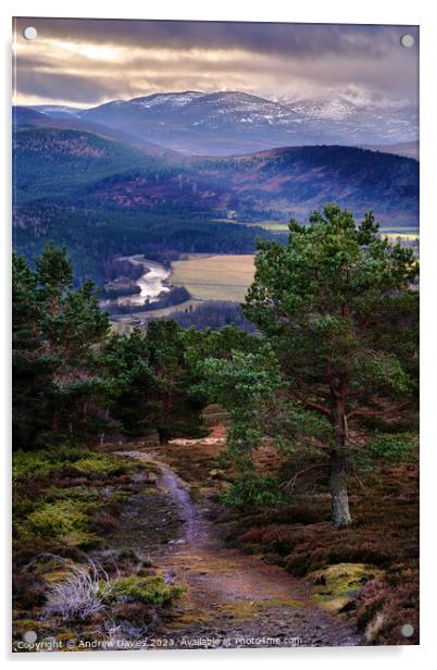 Royal Deeside and the Cairngorms Acrylic by Andrew Davies