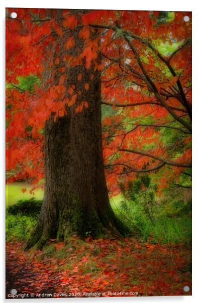 Dream of autumn Acrylic by Andrew Davies