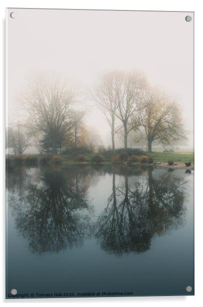 Reflection in the mist Acrylic by Tomasz Goli