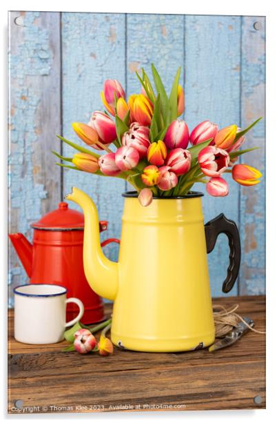 Colorful tulips in old enamel coffee pot Acrylic by Thomas Klee
