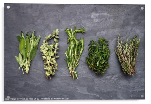 Still life, 5 different fresh herbs on slate Acrylic by Thomas Klee