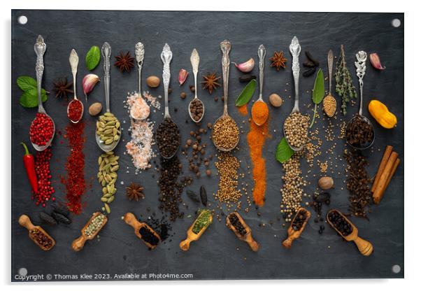Exotic spices from around the world Acrylic by Thomas Klee