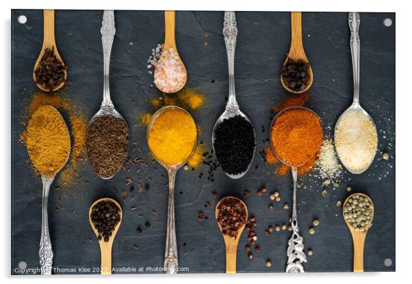 Selection of spices on wooden and metal spoons Acrylic by Thomas Klee