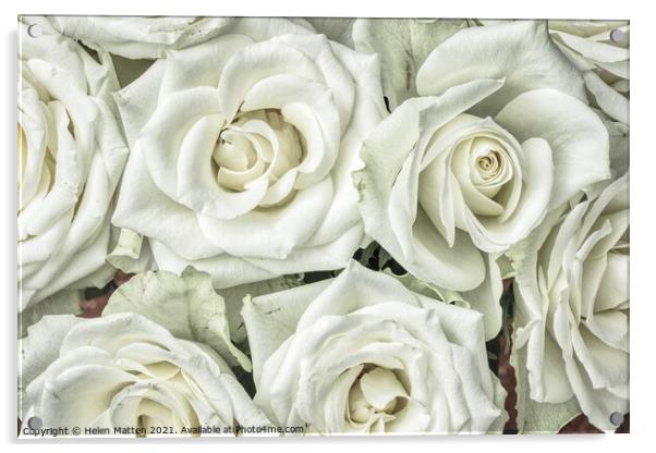 White Roses HDR Acrylic by Helkoryo Photography