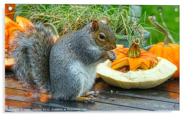 Halloween Grey Squirrel 1 Acrylic by Helkoryo Photography