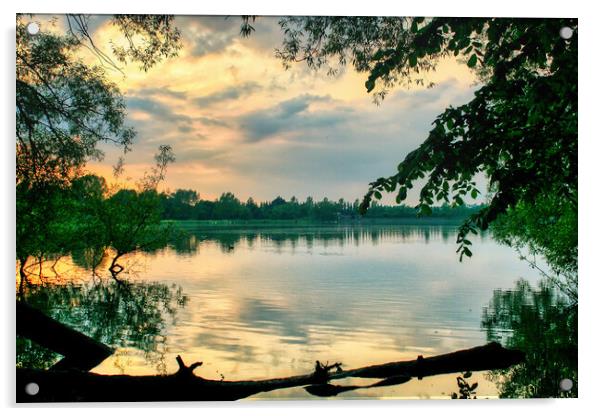 Daventry Country Park 2 Acrylic by Helkoryo Photography