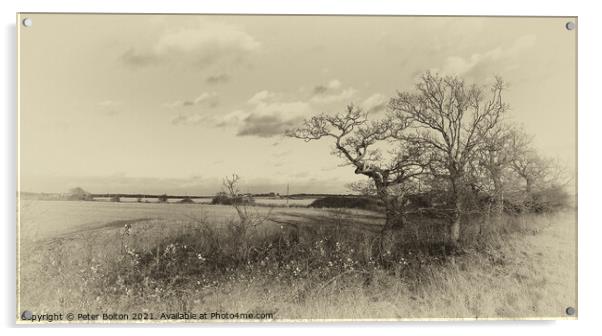 Antique style monochrome landscape at Hullbridge, Essex Acrylic by Peter Bolton