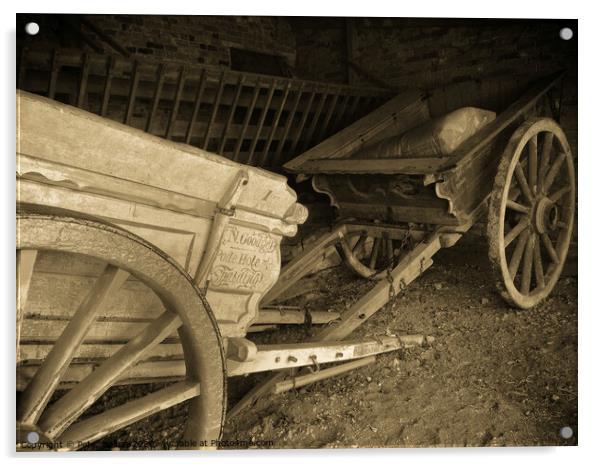 Victorian farm carts in a barn at Coggeshall, a village in Essex, UK Acrylic by Peter Bolton