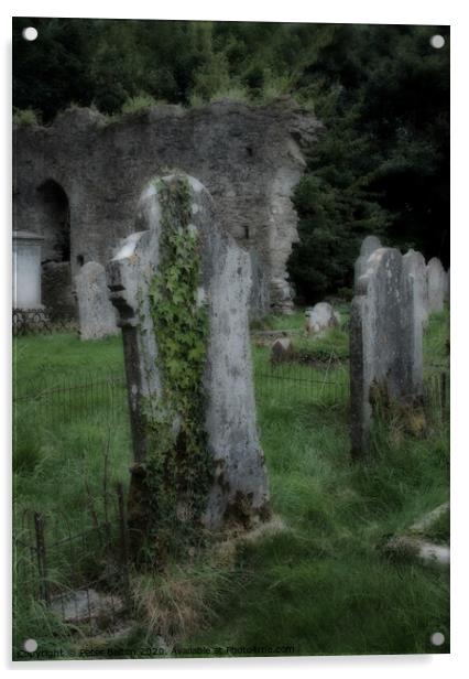Tombstones in a disused graveyard at Buckfastleigh, Devon, UK Acrylic by Peter Bolton