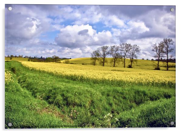 View across fields at Hanningfield, Essex, UK. Rapeseed crop in fields with a treeline on the horizon. Acrylic by Peter Bolton