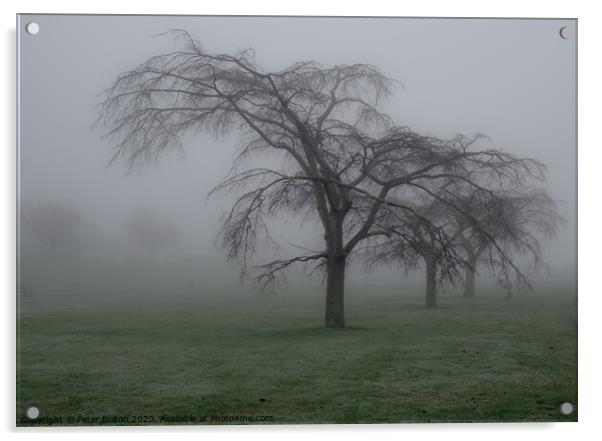 Trees in the mist at Thorpe Bay, Essex, UK. Acrylic by Peter Bolton