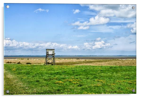 Landscape view of costal nature reserve at Bradwell, Essex on the shore of the River Blackwater Acrylic by Peter Bolton