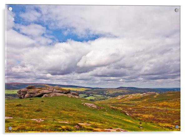 View across Dartmoor near Buckfastleigh, Devon, UK. Acrylic by Peter Bolton
