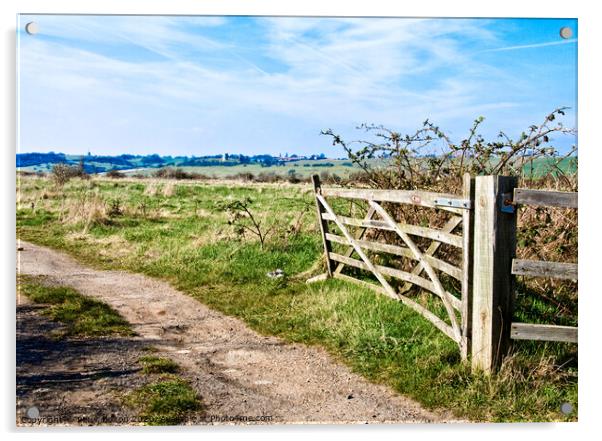 A view through a farm gate at Two Tree Island, with Hadleigh Castle on the horizon. Essex, UK.  Acrylic by Peter Bolton