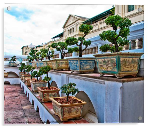 Bonsai collection at the Grand Palace, Bangkok, Thailand.  Acrylic by Peter Bolton