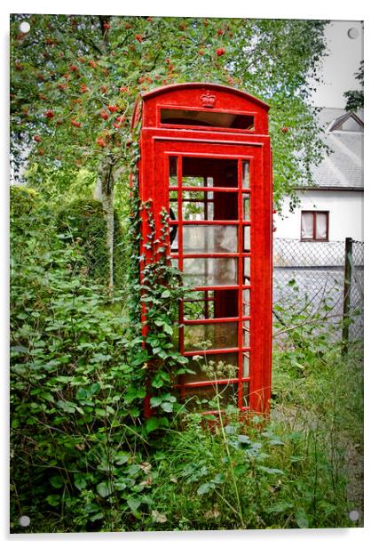 An abandoned red telephone kiosk at Buckfastleigh, Devon, UK. Acrylic by Peter Bolton