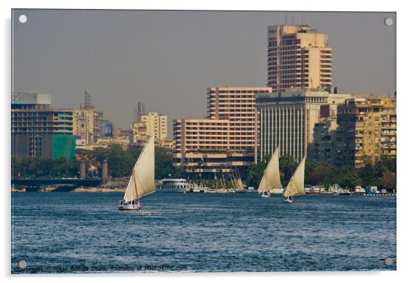 Arab Dhow sailing vessels on the River Nile, Cairo, Egypt. Acrylic by Peter Bolton