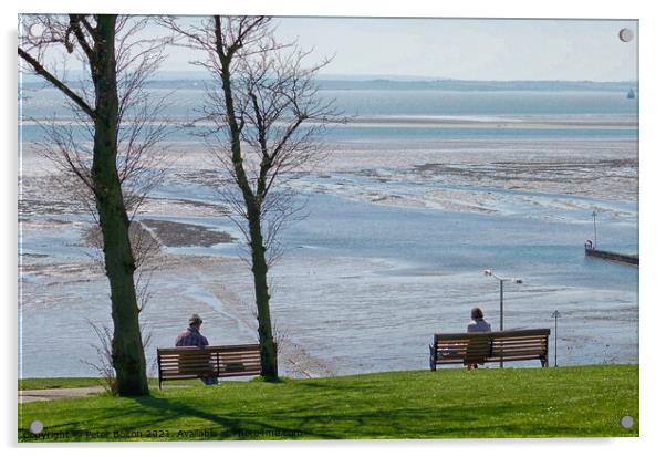 View overlooking the estuary from the cliff gardens, Southend on Sea, Essex, UK. Acrylic by Peter Bolton