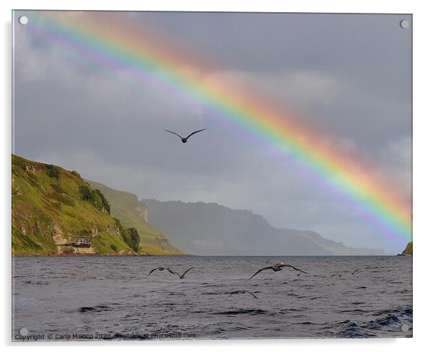 Rainbow Over The Isle Of Skye Acrylic by Carla Maloco