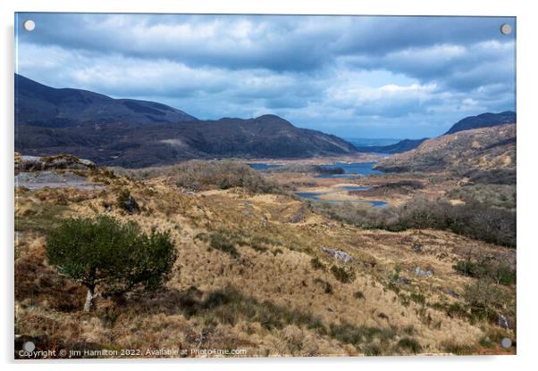 The Ladies view, Kerry,Ireland Acrylic by jim Hamilton