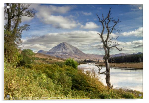 Mount Errigal, Donegal, Ireland Acrylic by jim Hamilton