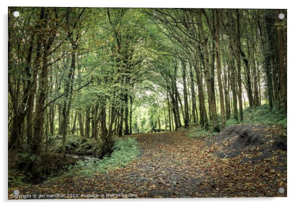 Enchanting Downhill Forest, Northern Ireland Acrylic by jim Hamilton