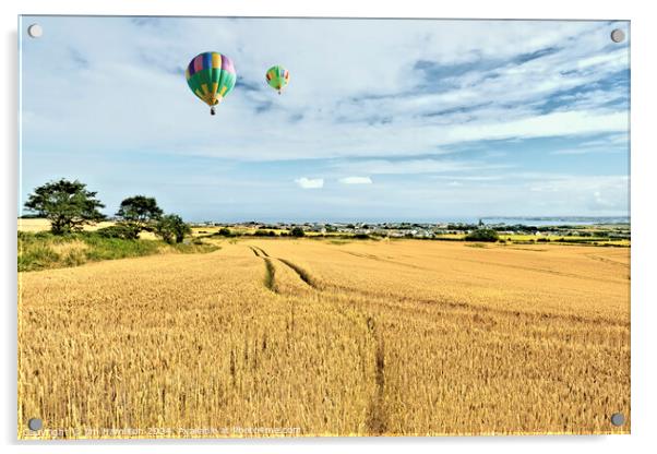 Ready for Harvest Acrylic by jim Hamilton