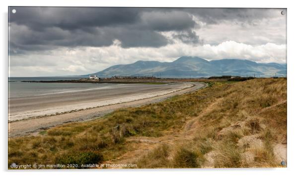 Tyrella beach,with the Mountains of Mourne in Nort Acrylic by jim Hamilton