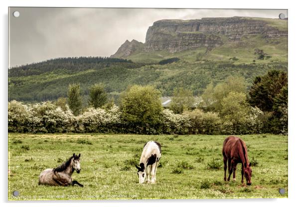 Binevenagh Mountain, Northern Ireland. Acrylic by jim Hamilton