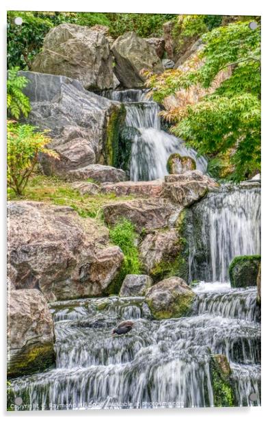 Kyoto Gardens Waterfall Acrylic by Raymond Hill